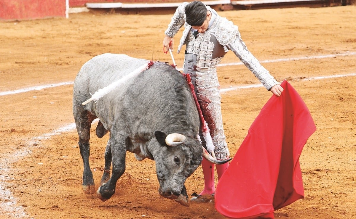 Sala Deshecha Constitutiva Recurso Contra Corridas de Toros; suspensivo contra iniciativa queda sin efecto