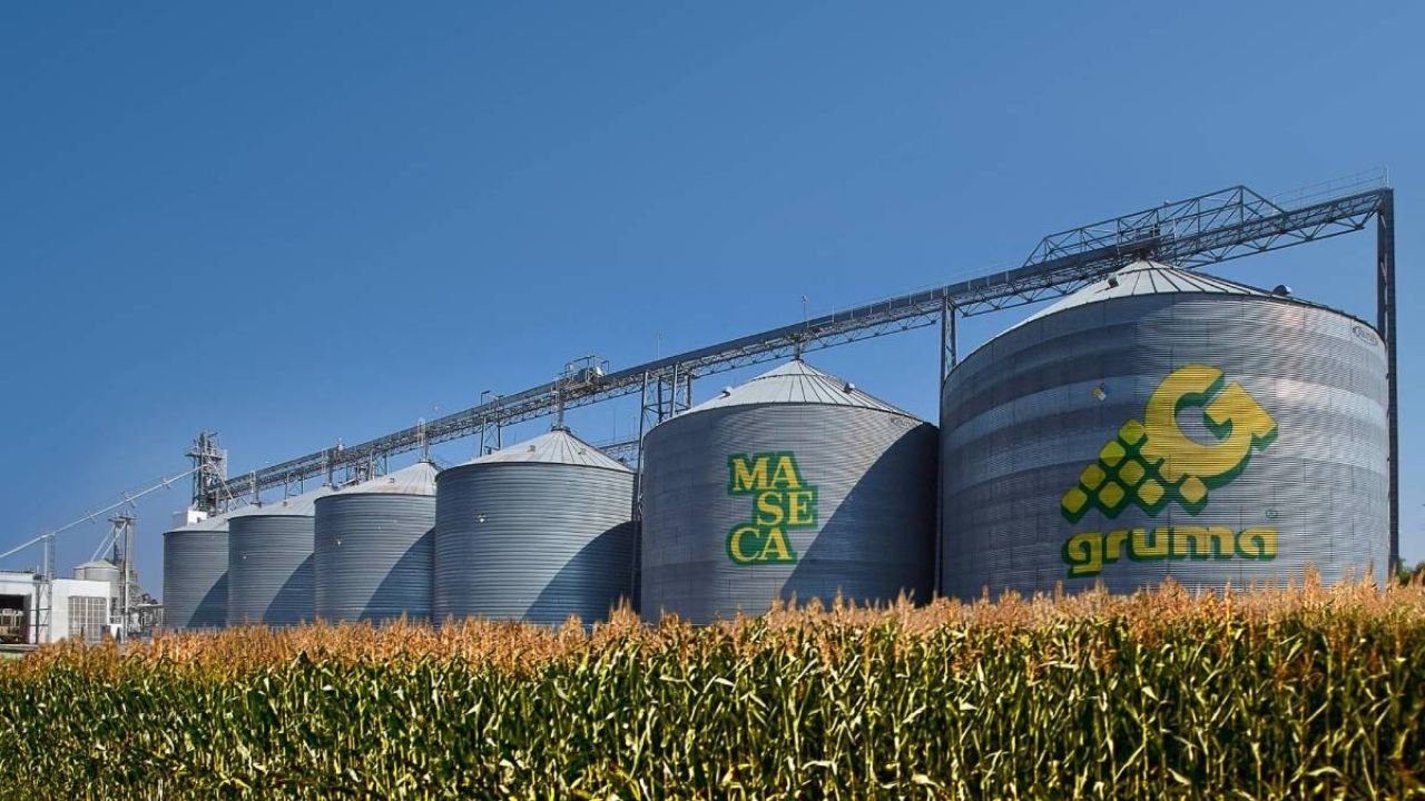 Gruma reporta un alza en ventas de harina, maíz y tortillas por más de 635 mdd durante 2025