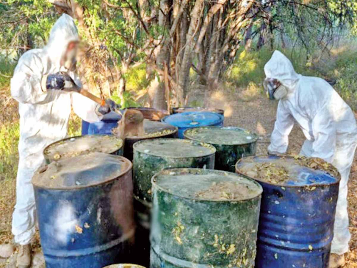 Gabinete de Seguridad golpea al crimen en 7 estados