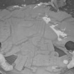 A 48 Años del Renacimiento de Coyolxauhqui: el Monolito que Confirmó el Templo Mayor en CDMX