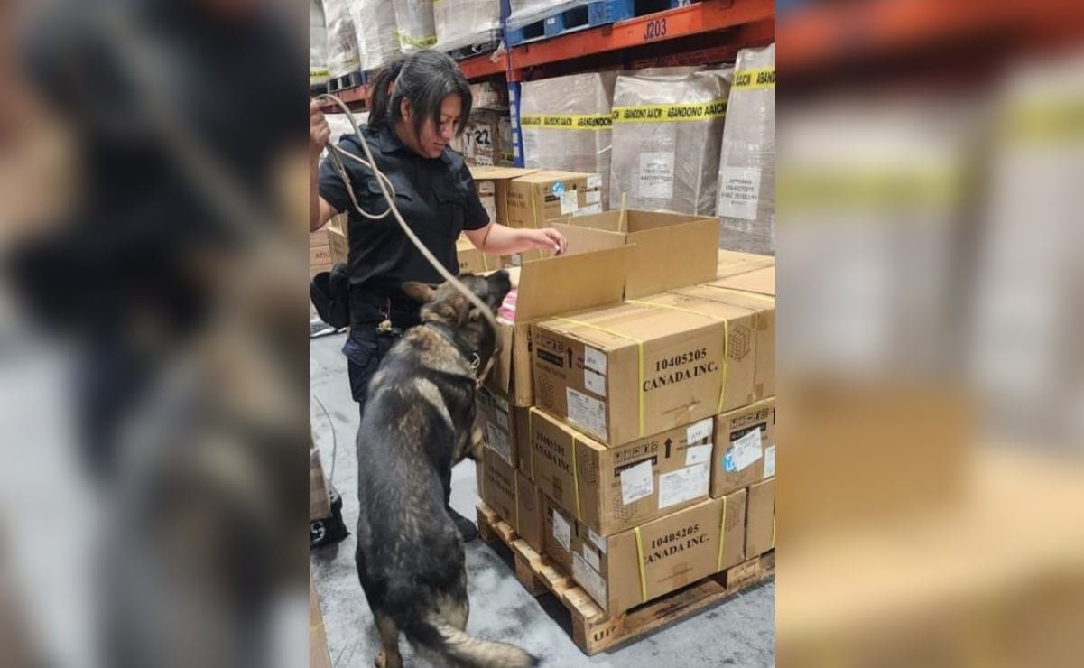 Aseguran 22 mil 800 vapeadores en el AICM; mercancía ilícita tiene valor aproximado de 5.2 mdp | El Universal