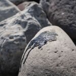 Chapopoteras en el Golfo de México: ¿Qué son y cómo contribuyeron al derrame de hidrocarburos?