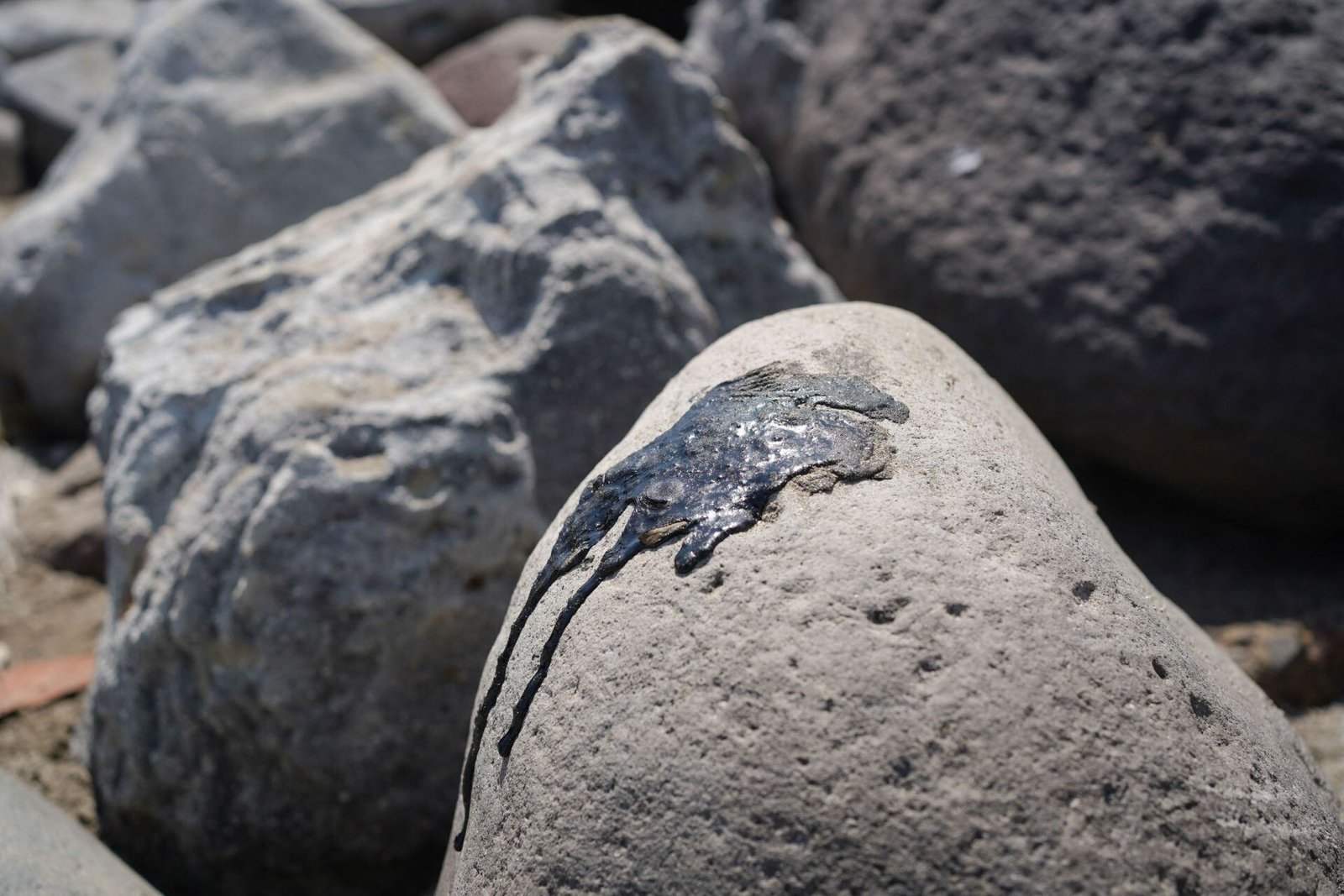 Chapopoteras en el Golfo de México: ¿Qué son y cómo contribuyeron al derrame de hidrocarburos?