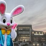 Hombre acosó sexualmente a botarga de Conejo de Pascua, quería saber su género