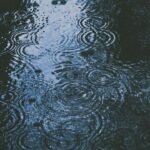 Clima en Cancún este miércoles 1 de abril: calor, lluvia ligera y alta humedad