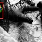 Vinculan tatuajes con mayor posibilidad de desarrollar distintos tipos de cáncer