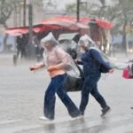 Lluvias fuertes en CDMX dejan al menos 20 árboles caídos y 16 encharcamientos; varios inmuebles quedaron afectados en Iztapalapa y Coyoacán | El Universal