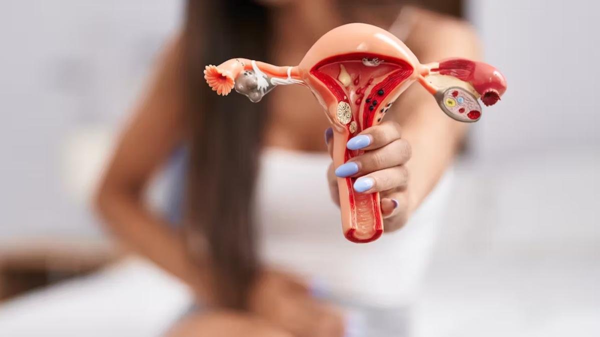 DKT impulsa la responsabilidad social en salud sexual
